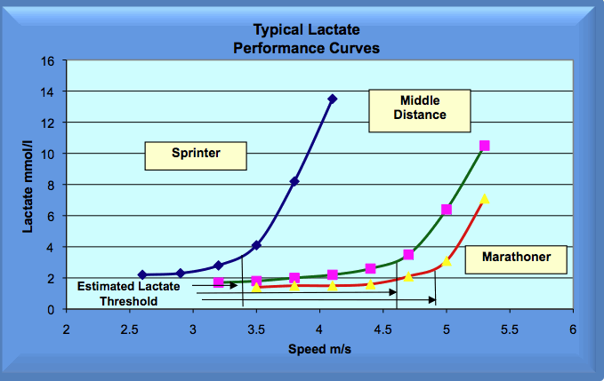 lactate curves by different types of runners