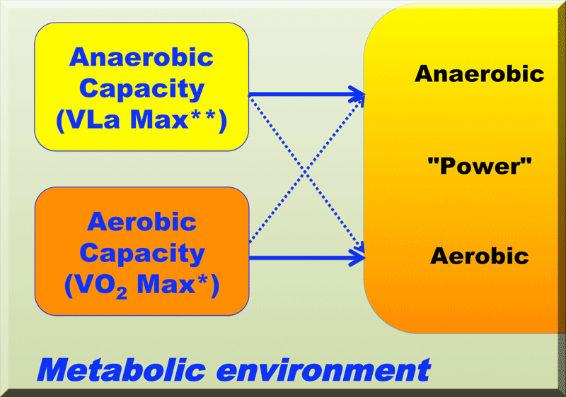 olbrecht model of performance - metabolic only