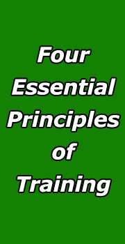 performance is correlated to the lactate threshold