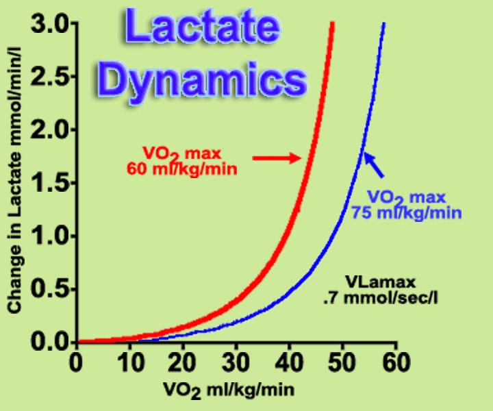 the relationship between lactate production rates two different levels of VO2 max for a VLamax of .7 mmol/s/l