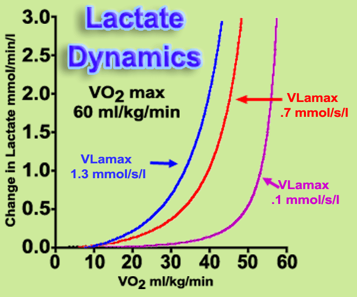 the relationship between lactate production rates and VO2 max for a VLamax of 1.3,.7 and .1 mmol/s/l