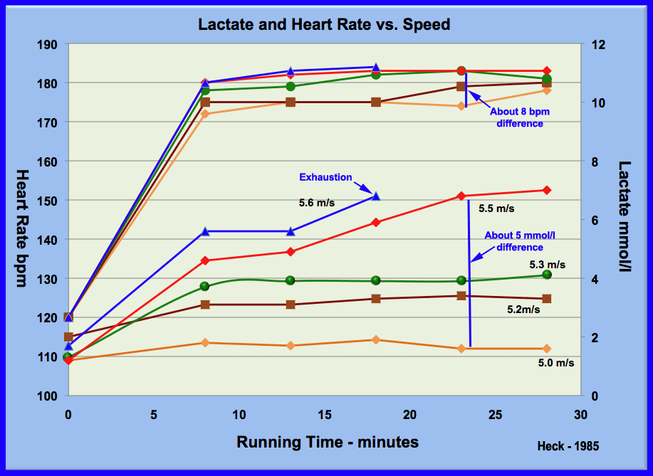 Lactate Testing For Triathlon Training How Best To Use Heart