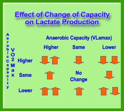 the effect of changes in aerobic and anaerobic capacity on lactate production