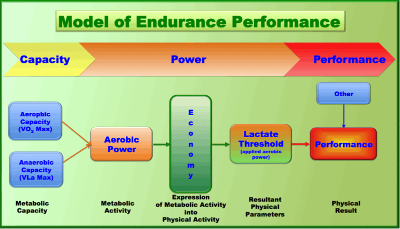 Model of performance in endurance athletic events by Jan Olbrecht