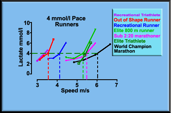 Comparisons of athletes using their V4
lactate curves