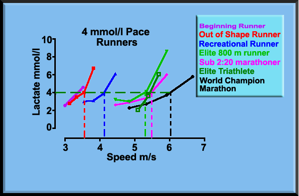 comparison of runners of different capabilities using lactate testing