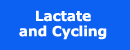 button for lactate and cycling