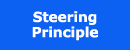 button for steering principle