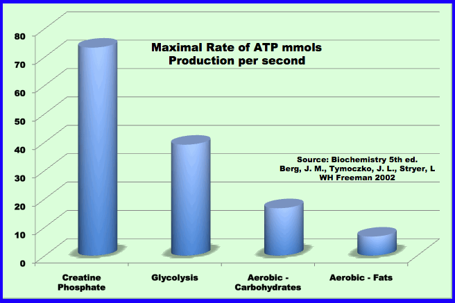 maximal rates of atp production for various fuels