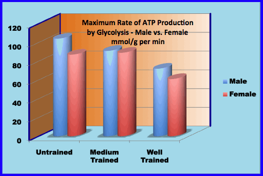 maximum rate of ATP production by glycolysis, male vs. female
