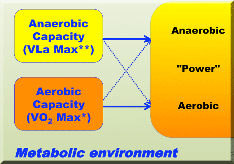 olbrecht modelof performance - metabolic only