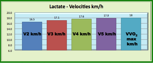 running paces for triathlete