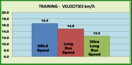 running paces for
triatlete based on lactate testing