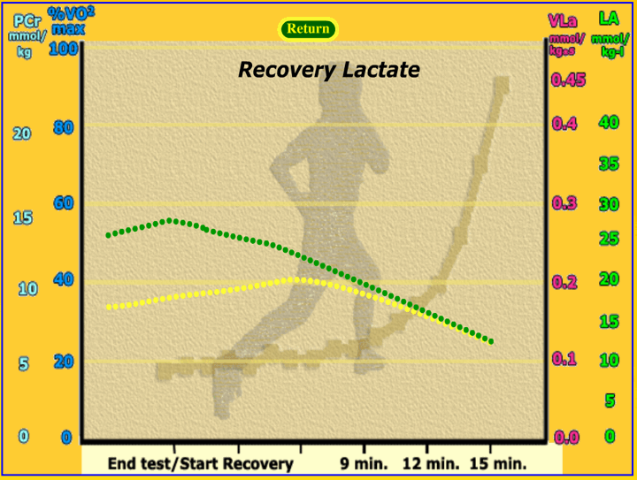 muscle and blood lactate levels during recovery from a step test