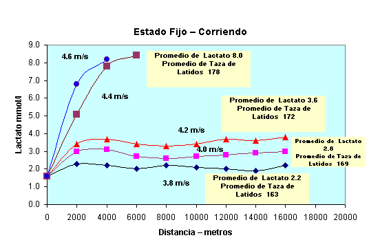 estado fijo corriendo