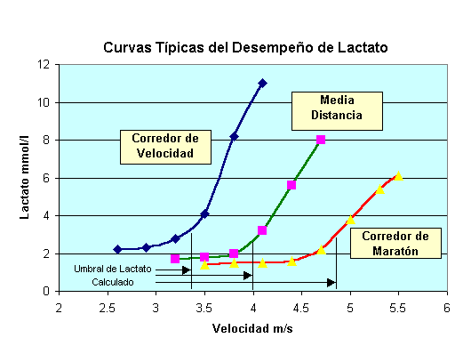 curvas tipicas del desempeño de lactato